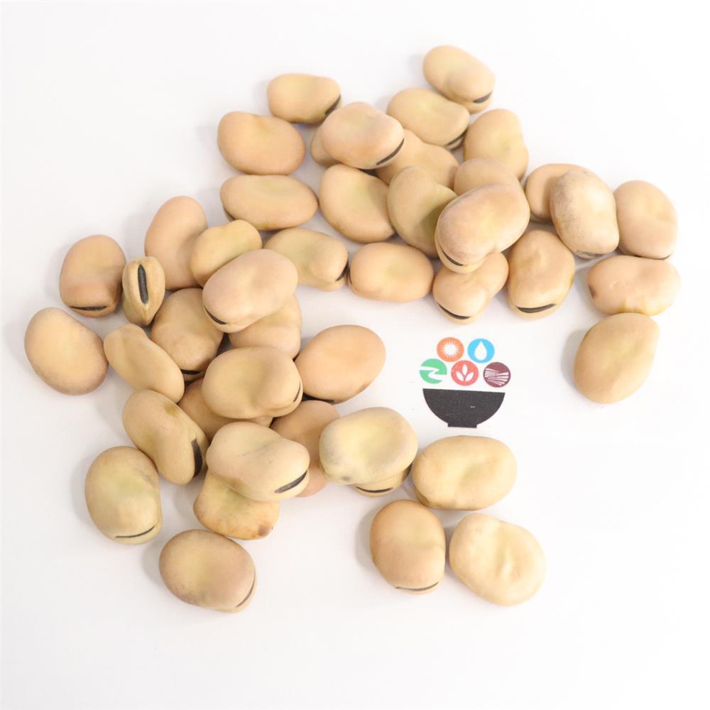 Конская фасоль, сухая