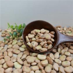 Конская фасоль, сухая