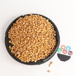 Китайское просо