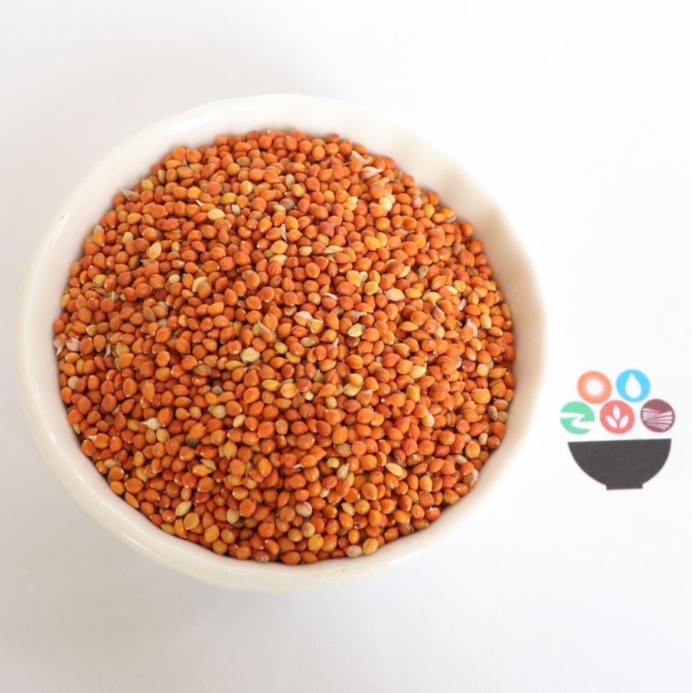 Китайское красное просо