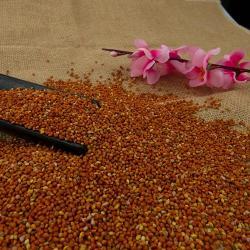 Китайское красное просо