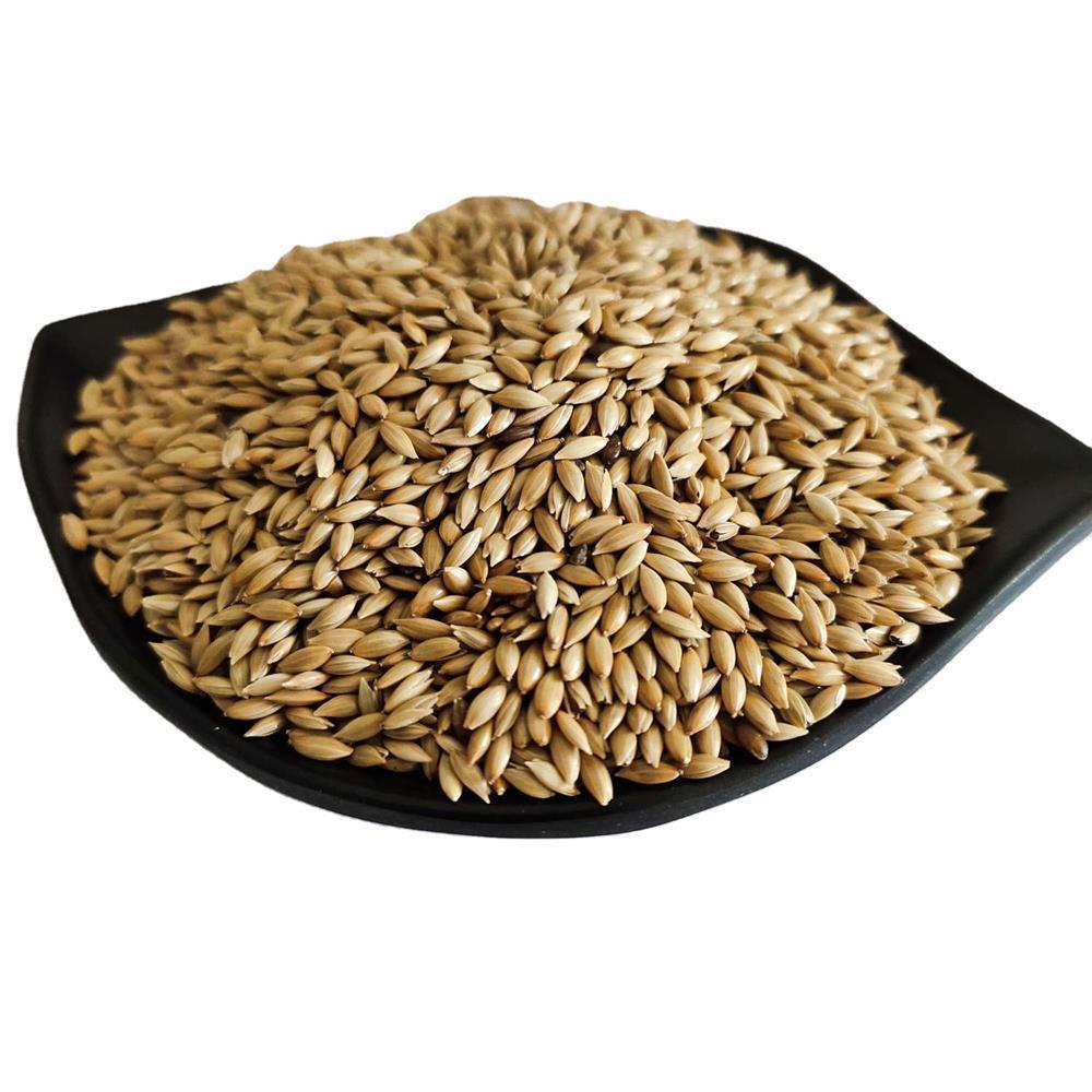 Канареечное семя для кормления птиц