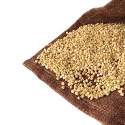 Сырое очищенное ядро гречихи