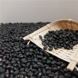 Черная фасоль Frijoles Negros