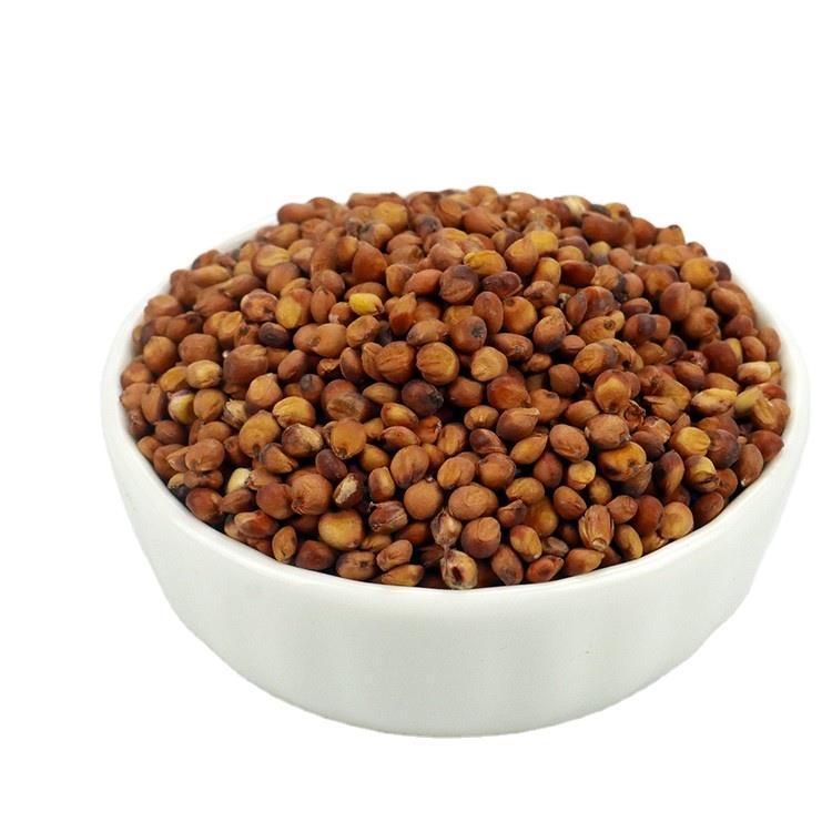 Красное сорго 