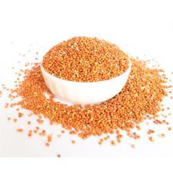 Красное желтое зеленое просо в шелухе для корма 