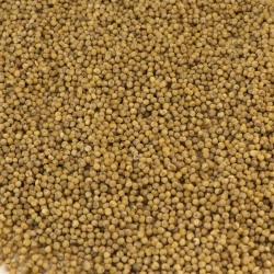 Красное желтое зеленое просо в шелухе для корма 