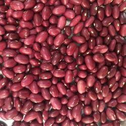 Высококачественная японская красная фасоль 