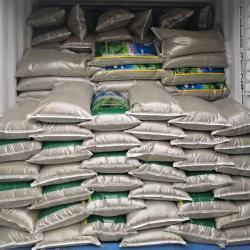 Зеленая фасоль Mung