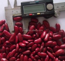 Высококачественная британская темно-красная фасоль