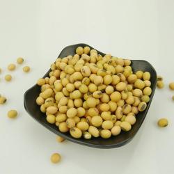 Соевые бобы без ГМО 