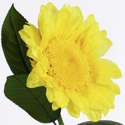 Подарочный цветок в колбе