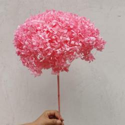 Консервированная гортензия со стеблем для украшения дома