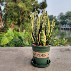 Цветочный горшок