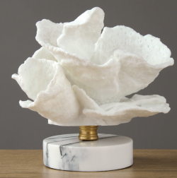 елые кораллы