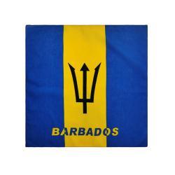 Хлопковый головной платок с национальным флагом и логотипом Nuoxin (арт. 21102695)