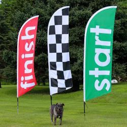 Яркие печатные флаги для рекламы, пляжный стиль (арт. 21102954)