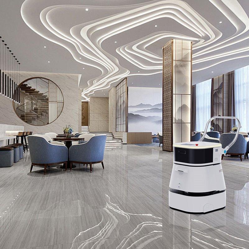 Умный робот для автоматической очистки пыли в коммерческих зонах (арт. 29101658)