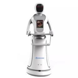 Коммерческий робот-гуманоид для доставки еды в отелях и ресторанах (арт. 29101725)