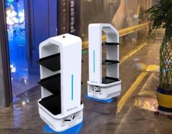 ИИ робот-ассистент для доставки еды в ресторанах и салонах красоты (арт. 29101843)