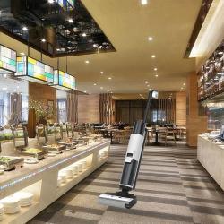 Профессиональный беспроводной пылесос для сухой и влажной уборки (арт. 29101946)