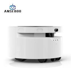 Автономное шасси Anseboo для мобильного робота с навигацией и картографией (арт. 29101953)