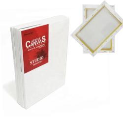 Холст 20*30см на сосновой раме, для художественного рисования (арт. 04111536)