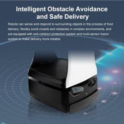 Человекоподобный робот для гостиничного обслуживания и подачи пищи (арт. 2811530)