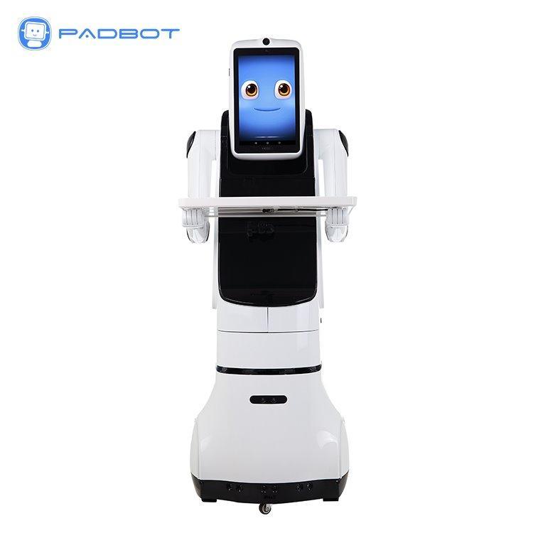 Робот с поддержкой видео связи и ЧатGPT для детского общения и активностей (арт. 2811555)