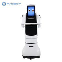 Робот с поддержкой видео связи и ЧатGPT для детского общения и активностей (арт. 2811555)