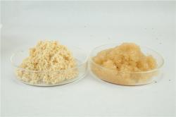 Аналог ионообменной смолы Rohm и Haas C-20 Duolite Resin (арт. 16121093)