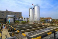 Макропористая катионная смола Lewatit GF 101 для производства MTBE TAME (арт. 16121109)