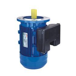 Электродвигатель ML90L-4 1.5кВт 2HP однофазный асинхронный 60Гц (арт. 25-17051299)
