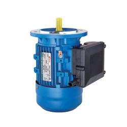 Электродвигатель ML 4HP 3kW однофазный асинхронный с алюминиевым корпусом (25-8051720)