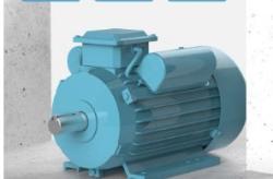 Электродвигатель 220В 50Гц 3HP монофазный (25-8051722)