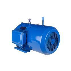 Электродвигатель YEJ 2.2kW 3HP трёхфазный с электромагнитным тормозом (25-8051725)