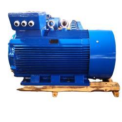 Электродвигатель Y2 500HP трёхфазный чугунный корпус, медная обмотка IE2 (25-8051730)