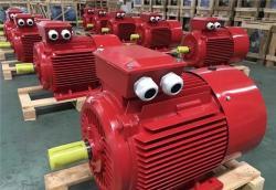 Электродвигатель IE4 37kW 50HP трёхфазный высокоэффективный индукционный (25-8051744)