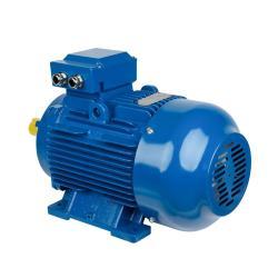 Электродвигатель 315kW трёхфазный асинхронный высокой мощности и эффективности (25-8051746)