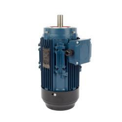 Электродвигатель 4kW 5.5HP 380В 50Гц трёхфазный асинхронный переменного тока (25-8051754)
