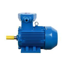 Электродвигатель YBX3 2.2kW 3HP 380В 50Гц трёхфазный взрывозащищённый AC (25-8051756)