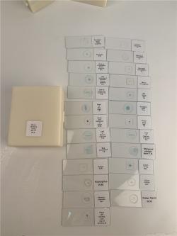 Набор биологических препаратов для микроскопа, 25 шт. (арт. 25-9071996)