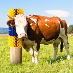 Коврик для коровы с вращающейся щеткой для чистки, легко собирается, долговечная щетина (арт. 25-1408350)