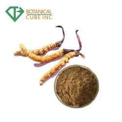 Экстракт порошка Cordyceps Sinensis 30% для капсул (арт. 25-17072239)