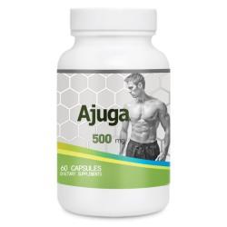 Анаболический препарат Turkesterone 500мг 1000мг (арт. 25-17072264)