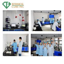 Порошок клубники высокого качества из натуральных ингредиентов (арт. 25-17072296)