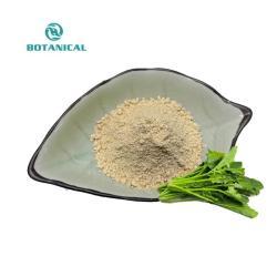 Экстракт шпината с эдистероном для повышения активности (арт. 25-17072304)