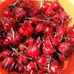 Порошок розеллы сушеный из цветов гибискуса Hibiscus Sabdariffa (арт. 25-17072331)