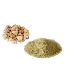 Экстракт корня панакса для здоровья (арт. 25-17072336)