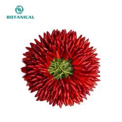 Пряный порошок красного перца с экстрактом чили 95% (арт. 25-17072338)